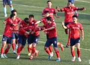 爱游戏APP-足球场上的风云变幻，球队成绩蹿升