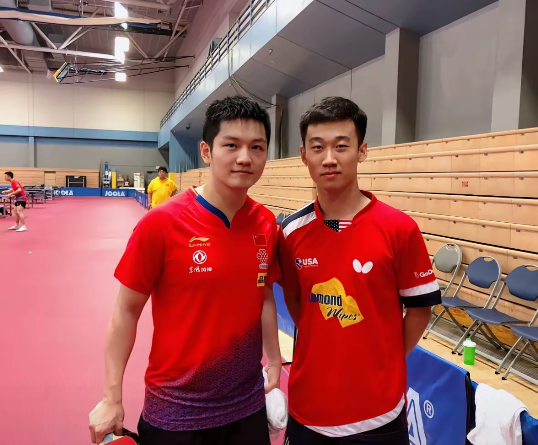 法国乒乓球队强势德国乒乓球队，樊振东统治全场