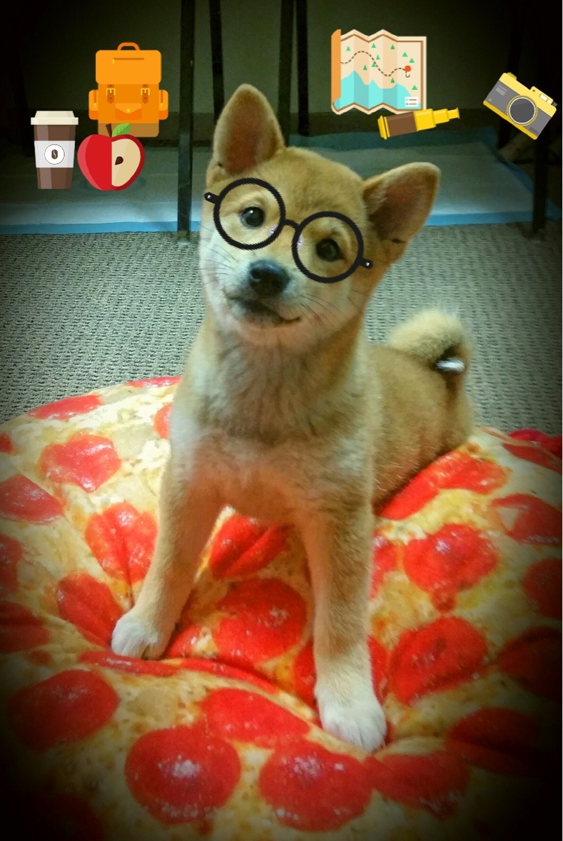 波兰铁壁难阻红蓝韵律，努涅斯终成巴萨节奏掌控者